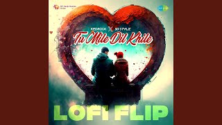 Tu Mile Dil Khile  LoFi Flip [upl. by Wilcox]