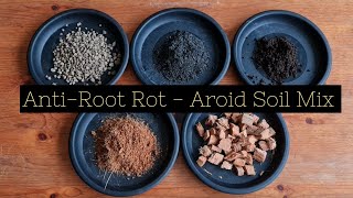 Aroid Mix  A comprehensive guide to prevent root rot Aroid amp Epiphyte [upl. by Nelleoj]