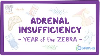 Adrenal insufficiency Year of the Zebra [upl. by Mccullough980]