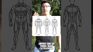 Ectomorph Mesomorph Endomorph musclegrowth fitness [upl. by Fineberg]