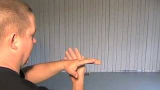 24 Form Tai Chi  Lesson 5  White Crane Spreads its Wings [upl. by Vargas77]