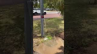 A beautiful water feature in Ellenbrook Perth [upl. by Herrle420]