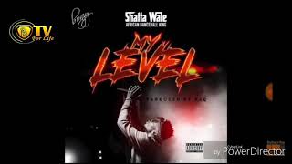 Shatta wale my level  official music video [upl. by Whitnell]