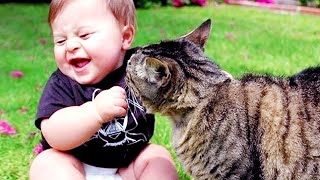 Cutest Babies Play With Dogs And Cats Compilation  Cool Peachy [upl. by Aruol]