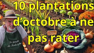 Que Planter en Octobre pour un Potager Productif au Printemps [upl. by Odirfliw]