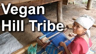 Vegan Hill Tribe No Electricity [upl. by Slocum]