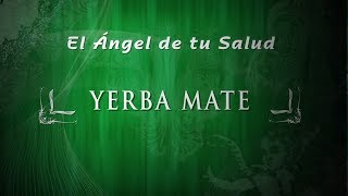 Yerba Mate ¿Qué beneficios tiene [upl. by Vida385]