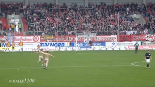 Hallescher FC  SV Wehen Wiesbaden 31 15Spieltag in der 3Liga [upl. by Dupuis745]