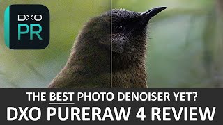 DxO PureRaw 4 Review  Just Hype [upl. by Marnie]