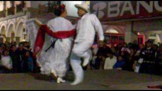 Fiesta Jarocha del Paseo del Malecon  La Bamba [upl. by Juliane]