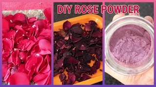 Homemade Rose Powder  How to Make Rose Powder at Home  DIYHomemade Rose Powder bindunaturalworld [upl. by Ripley631]