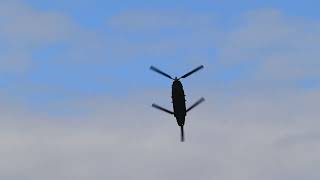 Ayr Show Ayr 20230909 CHINOOK2 [upl. by Ykcub]