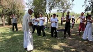 Tai Chi amp Qigong Meeting quotAqua Venice 2012quot [upl. by Adeys]