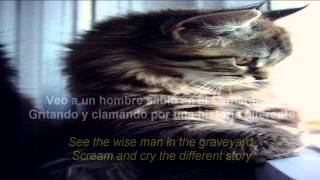 Peter Schilling  Different Story Subitulos Español amp English HD [upl. by Demahum]