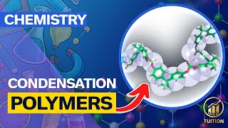 GCSE Chemistry Condensation Polymerisation Dicarboxylic Acids and Diols [upl. by Lontson]