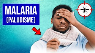 Malaria Paludisme  Symptômes et Traitements [upl. by Pollie]