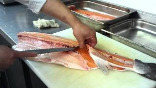 How to fillet a salmon サーモンの さばき方 [upl. by Schreib77]