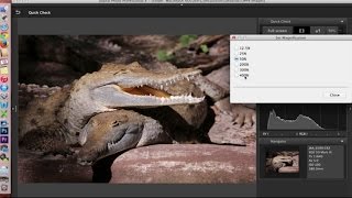 Canon Digital Photo Professional DPP 4 Software Overview and Interface Tour [upl. by Fairleigh289]