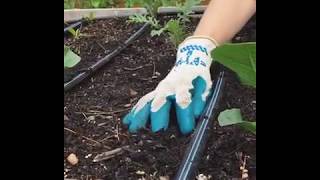 How to Cultivate the Soil in Your Small Vegetable Garden [upl. by Bonneau]