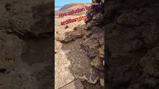 Calderón hondo fuerteventura🌋📍🌍viralfeed travel feed epic shortsvideo shorts viralvideo fyp [upl. by Kcirdek]