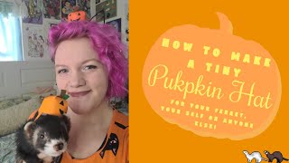 DIY Pumpkin Hat For Your Ferret [upl. by Killoran]