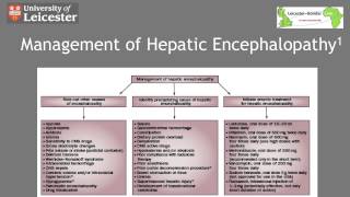 Management of Hepatic Encephalopathy in 5 Minutes [upl. by Lafleur]