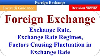 Concept of Foreign Exchange Factors affecting exchange rate Currency banking and Exchange bcom [upl. by Sunderland656]