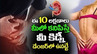 ఈ 10 లక్షణాలు ఉంటే మీ కిడ్నీ డేంజర్ లో ఉనట్టే  Symptoms Of Kidney Problems  Telugu Health tips [upl. by Yeh]