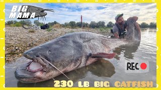 Big 230 lb monster catfish over 8 foot by Catfish World [upl. by Velleman704]