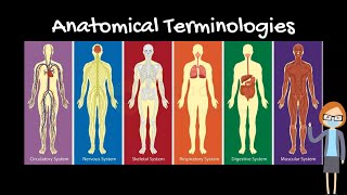 Anatomical Terminologies Fundamentals of Anatomy [upl. by Otreblanauj]