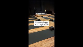 HUMMING PUPPY REVIEW  nyc yoga studio review [upl. by Aehcim]