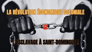 LA RÉVOLUTION ÉCONOMIQUE COLONIALE ET L’ESCLAVAGE À SAINTDOMINGUE [upl. by Eilitan669]