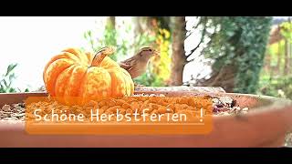 Schöne Herbstferien [upl. by Voorhis766]