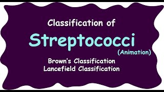 streptococci  Lancefield classification of streptococci  streptococcus species [upl. by Akemal138]