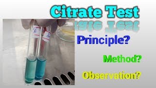 Citrate Test Microbiology [upl. by Galan]