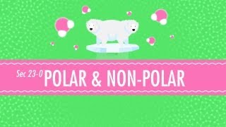 Polar amp NonPolar Molecules Crash Course Chemistry 23 [upl. by Avery64]