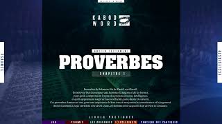 « Proverbes » LAncien Testament  La Bible Du Semeur audio VF Complète [upl. by Floss]