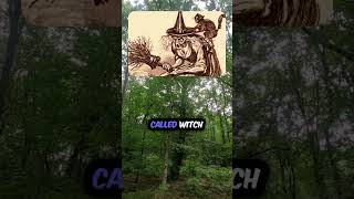 The History Of Witch Hunters🧹 education facts shorts [upl. by Milton5]