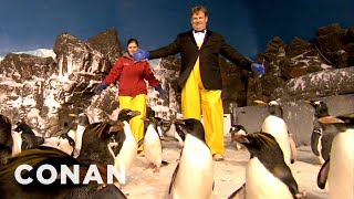 Andy Richter Visits The Seaworld Penguins  CONAN on TBS [upl. by Burk69]