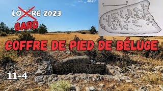 Un Menhir à Cupules dans une Tombe de lAge du Bronze😲 [upl. by Waldemar135]