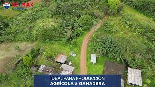 Finca en VENTA  Puerto Quito [upl. by Enniotna]