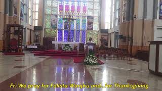 Thanksgiving Mass Intro with Captions at Holy Family Basilica Nairobi [upl. by Pauwles]