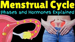 The Menstrual Cycle – Phases and Hormones Explained  Menstruation Explained [upl. by Pich503]