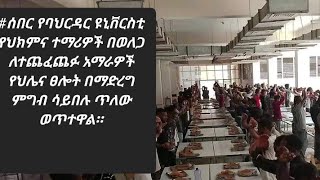 Betelhem Dagnachew ll ቤተልሄም ዳኛቸው [upl. by Kreitman]