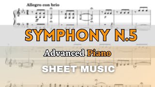 Beethoven  Symphony No5 1 mov  Piano Reduction Sheet MusicScore [upl. by Alliuqahs864]