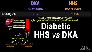 Hyperosmolar Hyperglycemic State Diabetic HHS vs DKA Animation [upl. by Aneis]