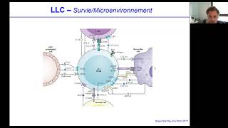 Phase Socle  Leucémie lymphoïde chronique [upl. by Lalittah52]