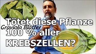 Diese PFLANZE kann 100  der KREBSZELLEN bekämpfen [upl. by Ymas]