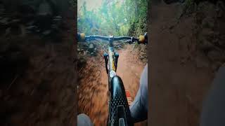 jalur favorit🔥 mtb polygon downhill mtb enduro mtblife [upl. by Newel]