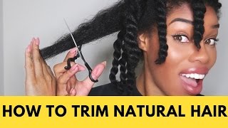 How to Trim Natural Hair [upl. by Nroht694]